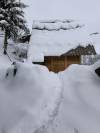 Hiver_Petit-4